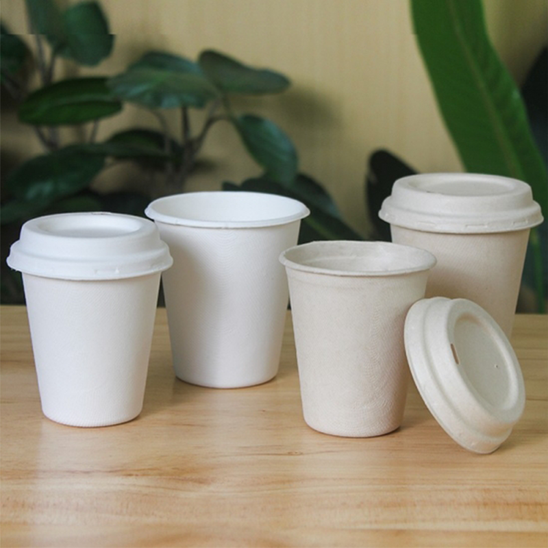 https://www.tuobopackages.com/pla-paper-coffee-cups-custom-printed-eco-friendly-biodegradable-cups-product/