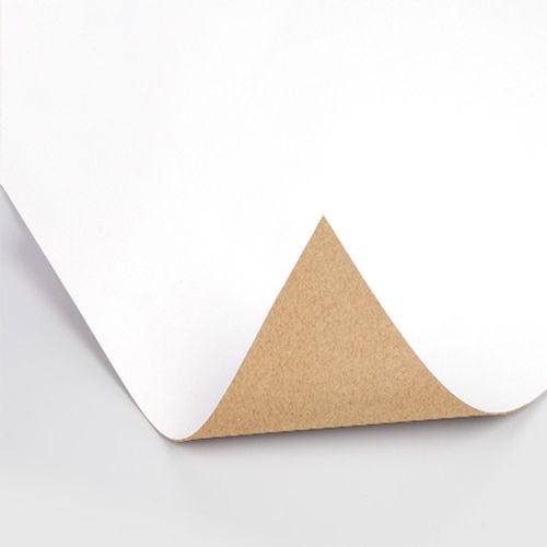 PE Coated Paper